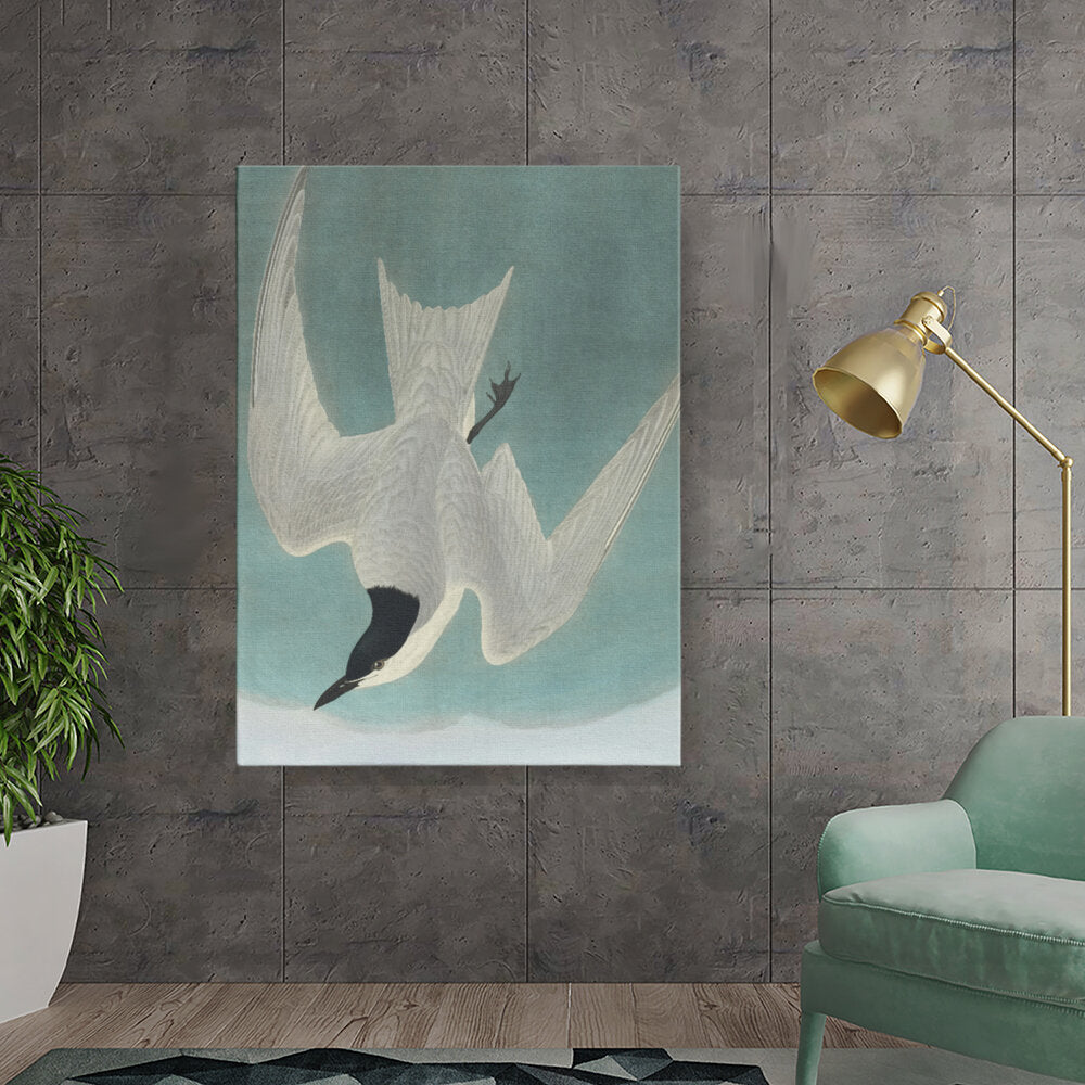 Soaring Elegance
