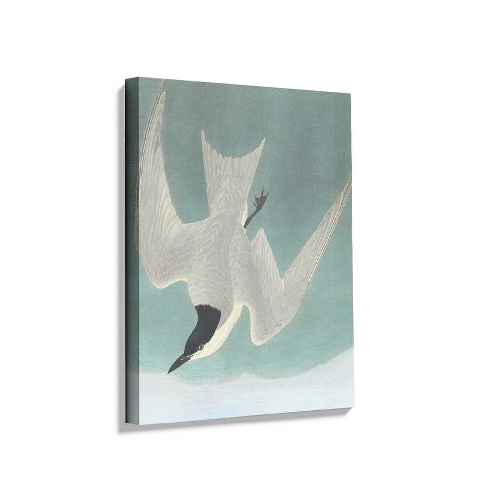 Picasoul - Picasoul Curated - Soaring Elegance - Wall Decor