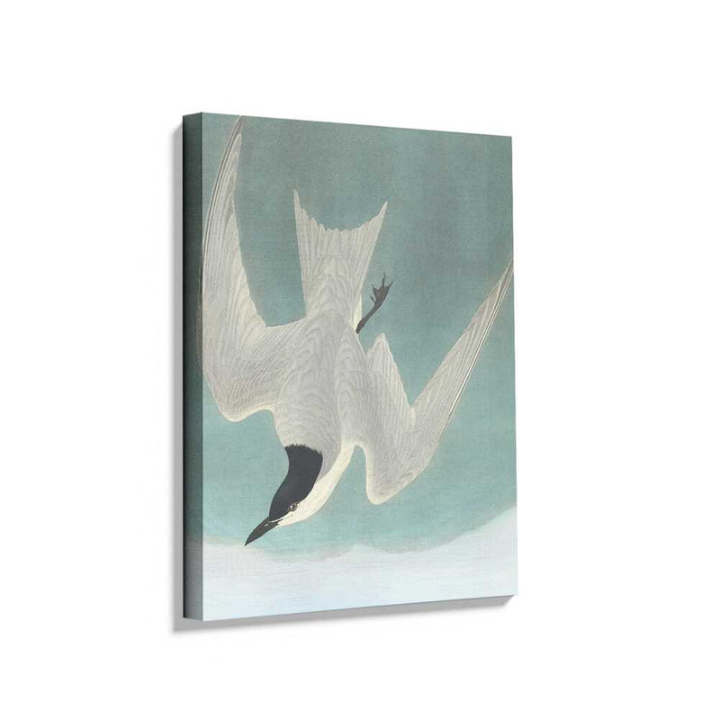 Picasoul - Picasoul Curated - Soaring Elegance - Wall Decor