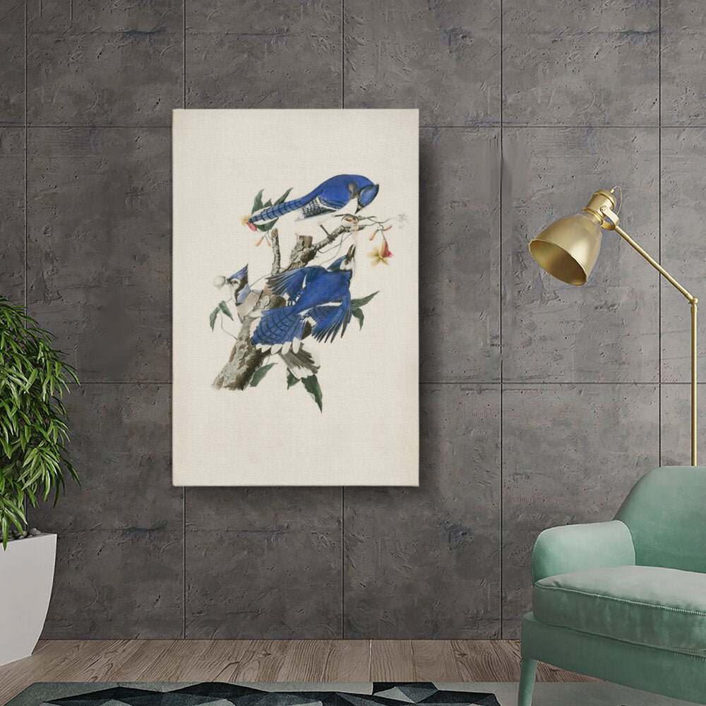 Blue Jays On A Branch