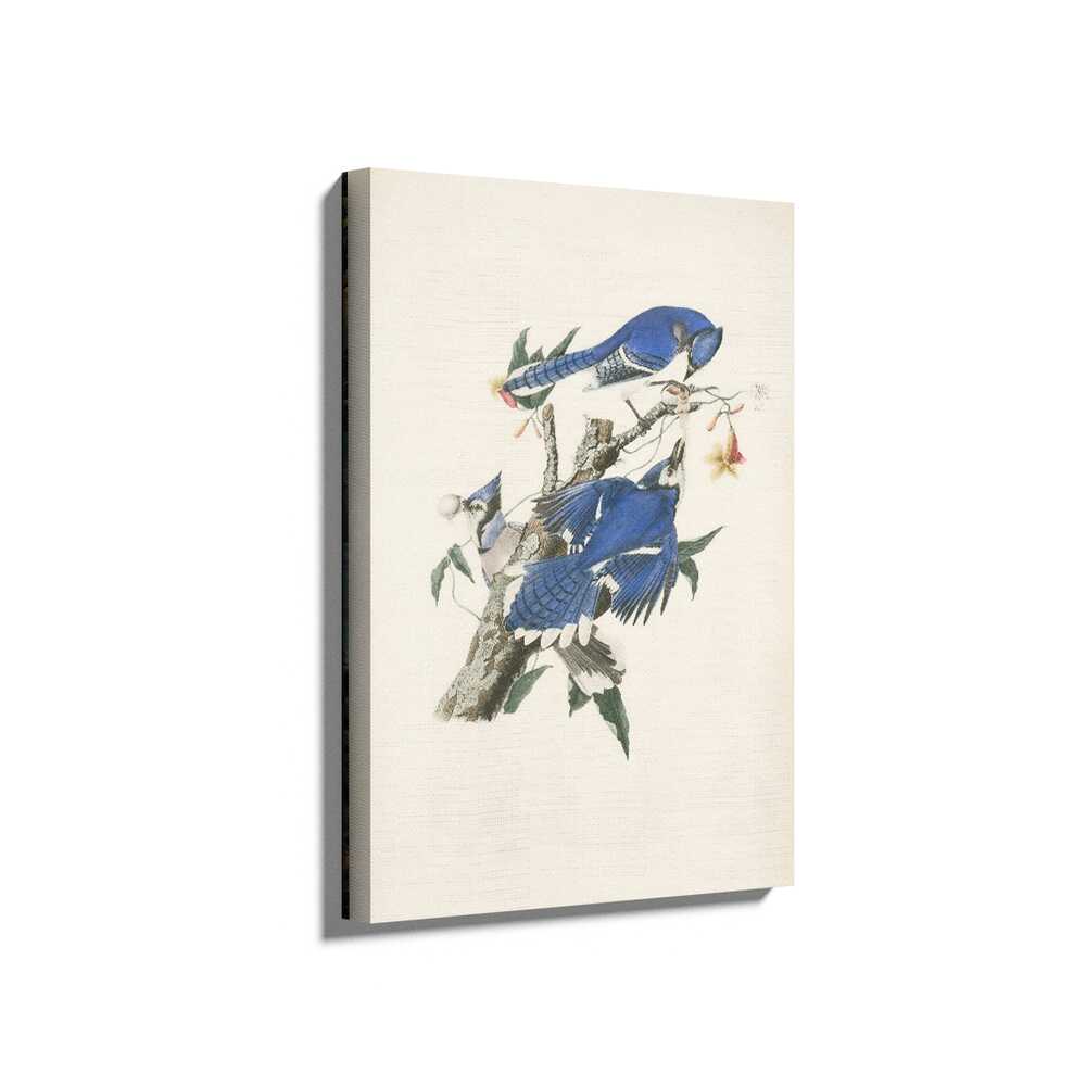 Picasoul - Picasoul Curated - Blue Jays On A Branch - Wall Decor