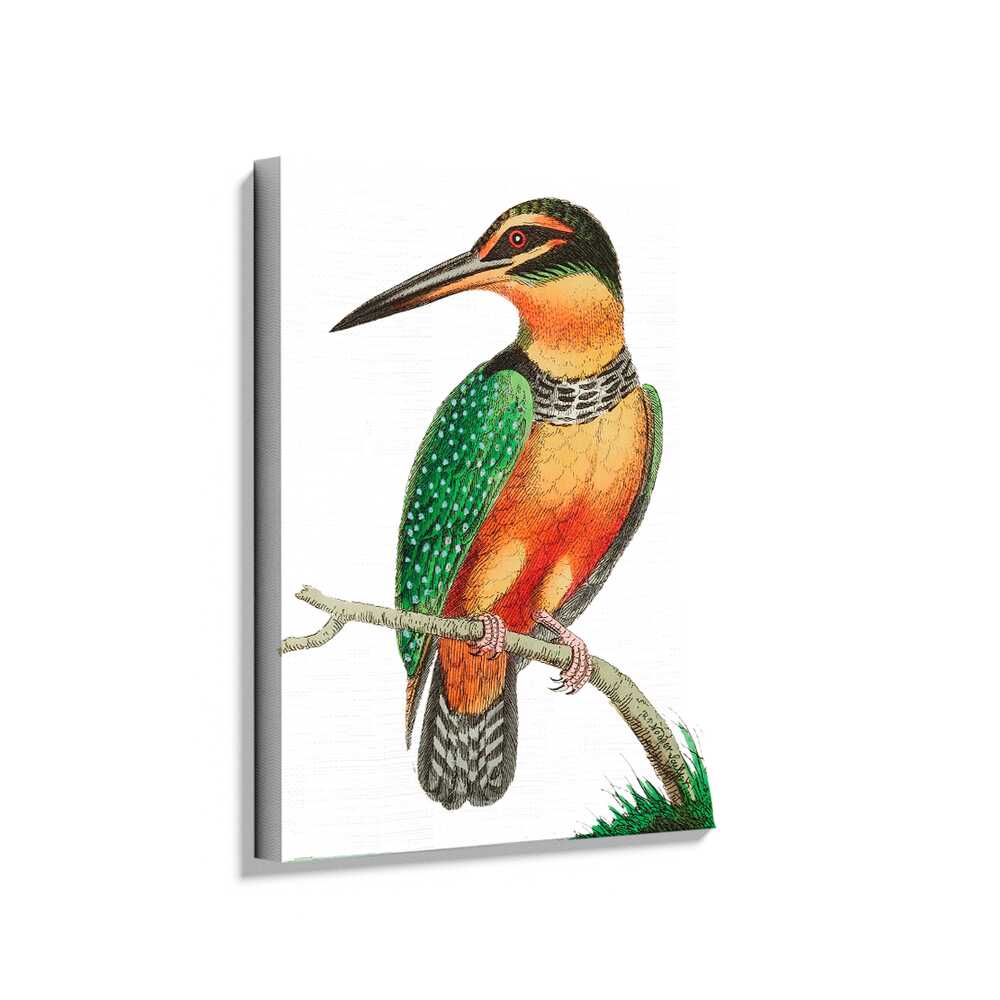 Picasoul - Picasoul Curated - Elegant Kingfisher - Wall Decor