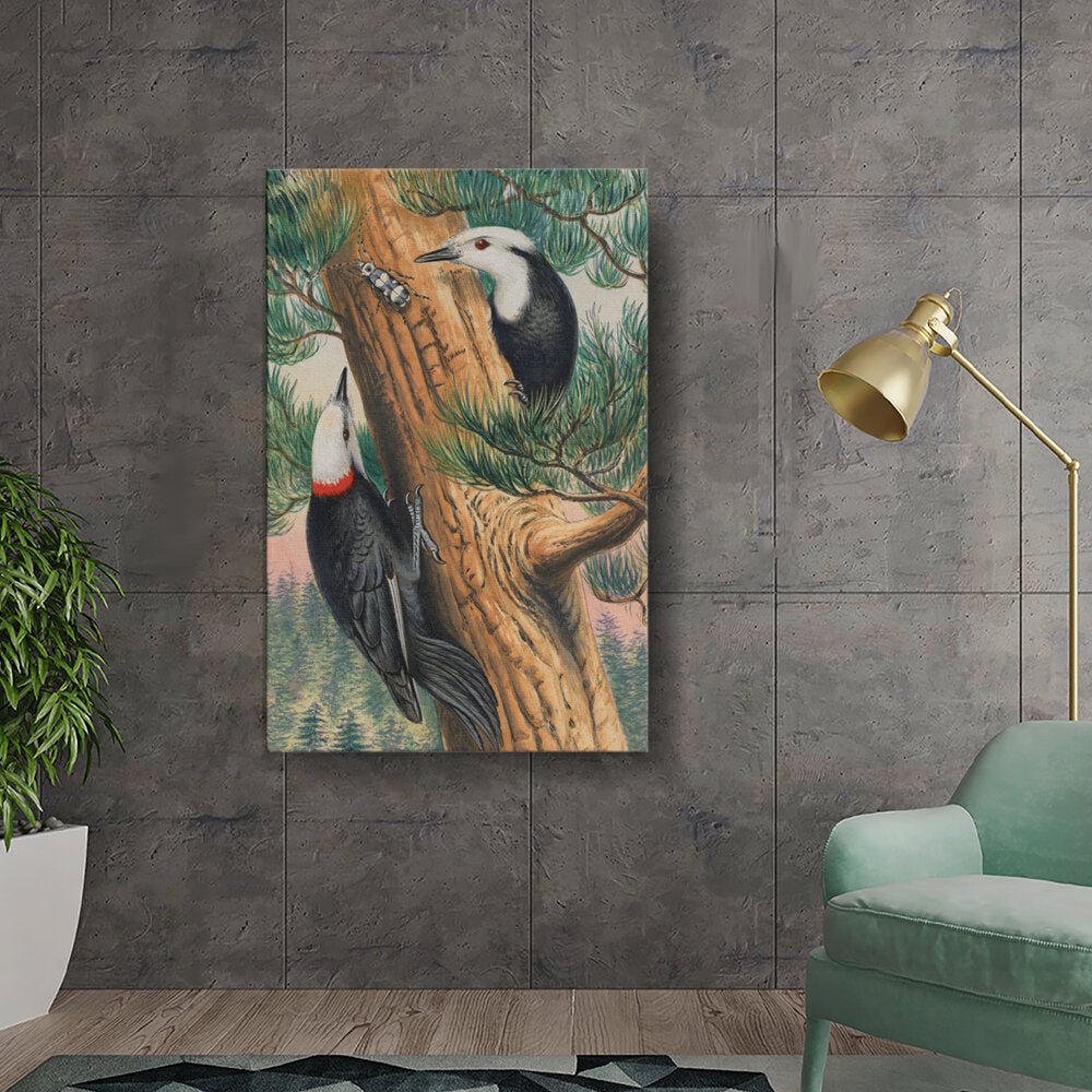 Woodpeckers On A Pine Tree