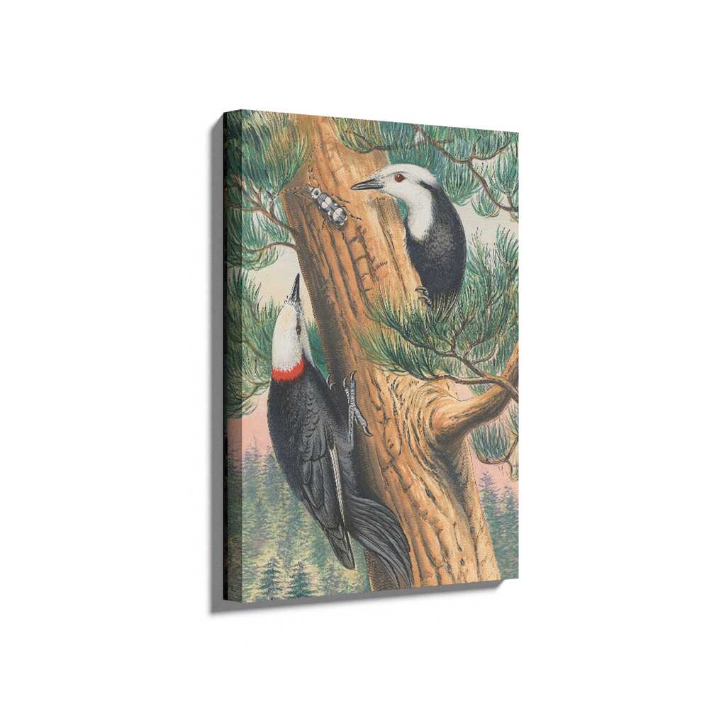Picasoul - Picasoul Curated - Woodpeckers On A Pine Tree - Wall Decor