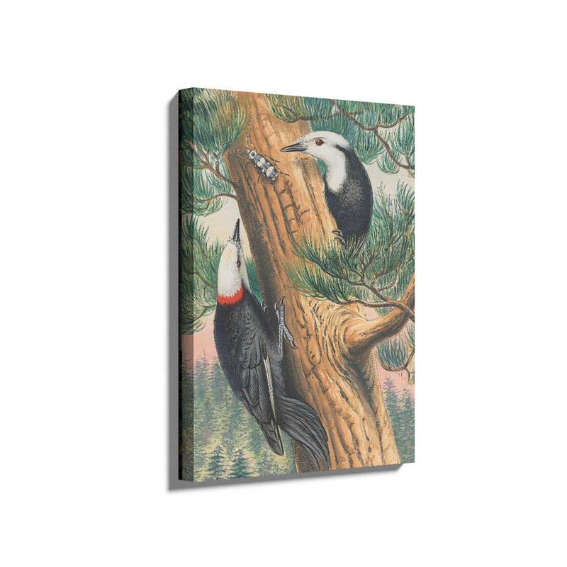Picasoul - Picasoul Curated - Woodpeckers On A Pine Tree - Wall Decor