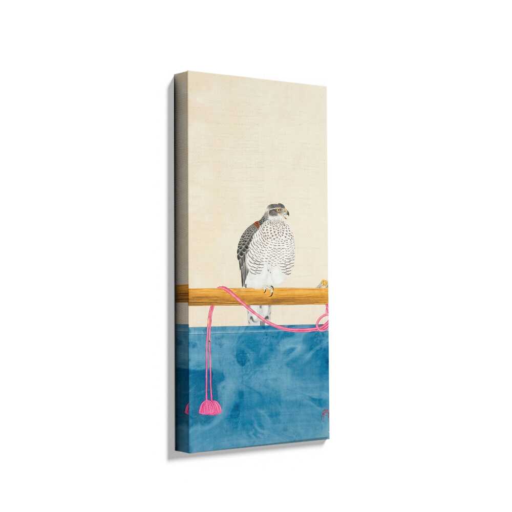 Picasoul - Picasoul Curated - Majestic Falcon - Wall Decor