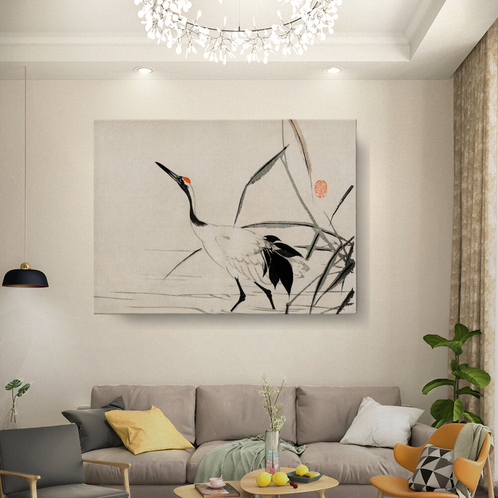Elegant Crane 1