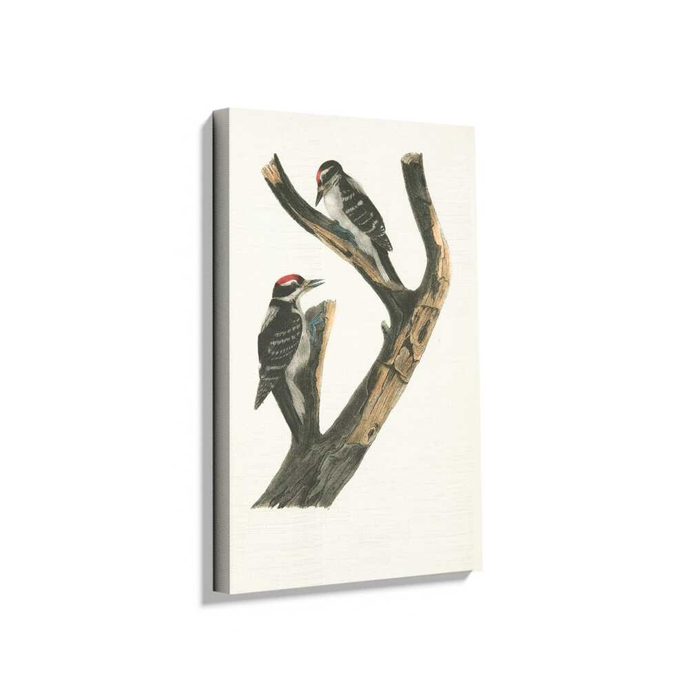 Picasoul - Picasoul Curated - Woodpecker Duo - Wall Decor