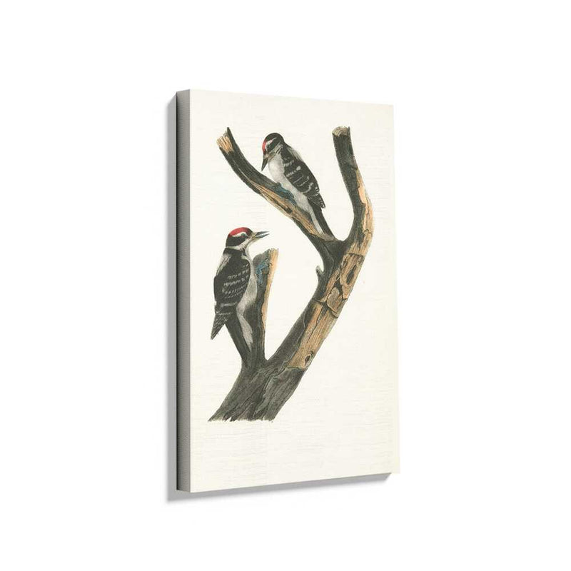 Picasoul - Picasoul Curated - Woodpecker Duo - Wall Decor