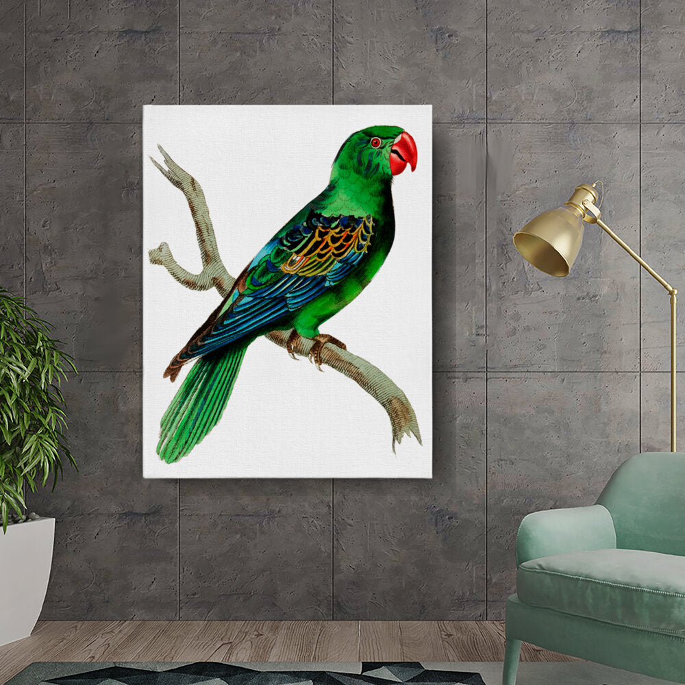 Colorful Parrot On Branch