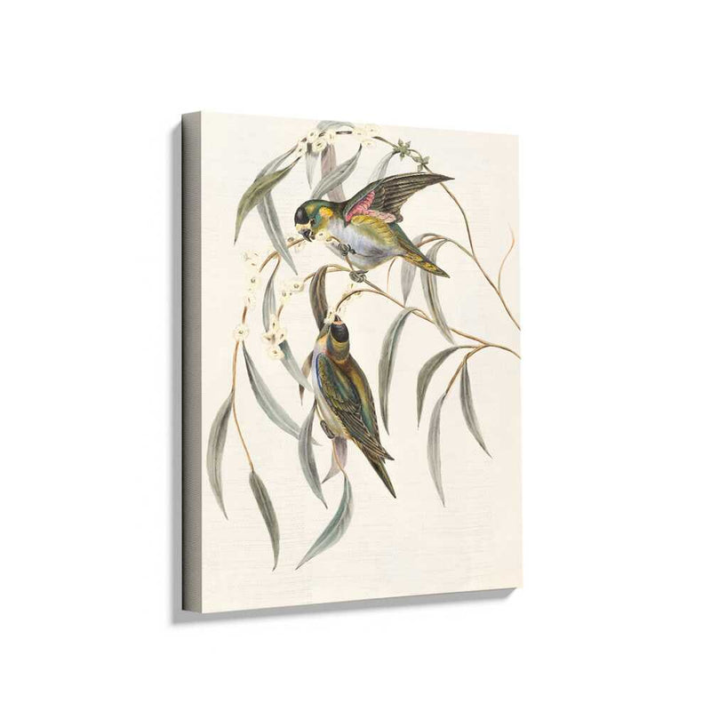 Picasoul - Picasoul Curated - Colorful Birds Among Leaves - Wall Decor
