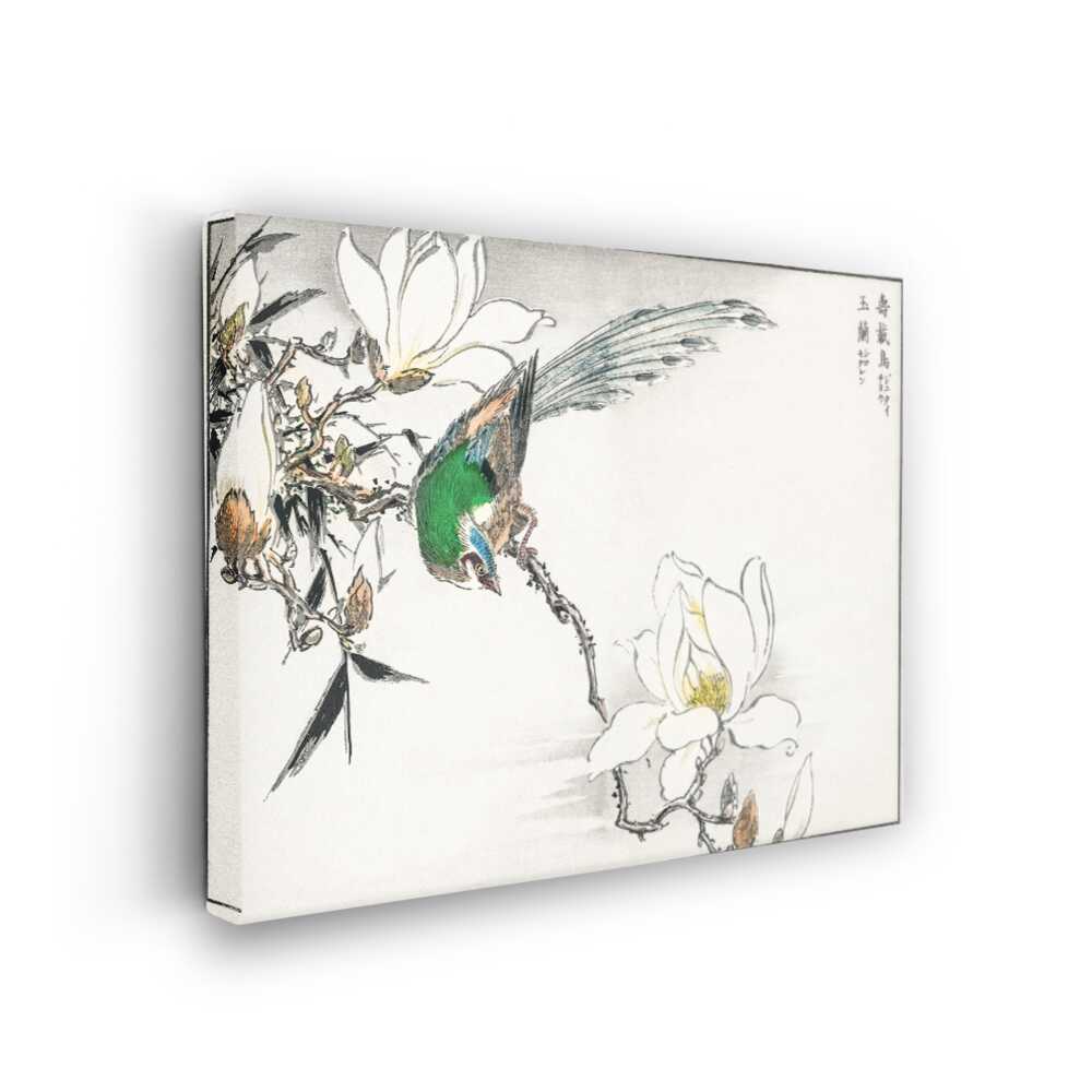 Picasoul - Picasoul Curated - Bird On A Branch With Magnolia - Wall Decor