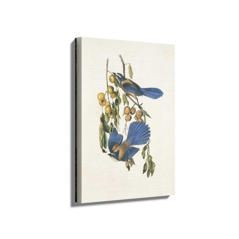 Picasoul - Picasoul Curated - Blue Birds Among Leaves - Wall Decor