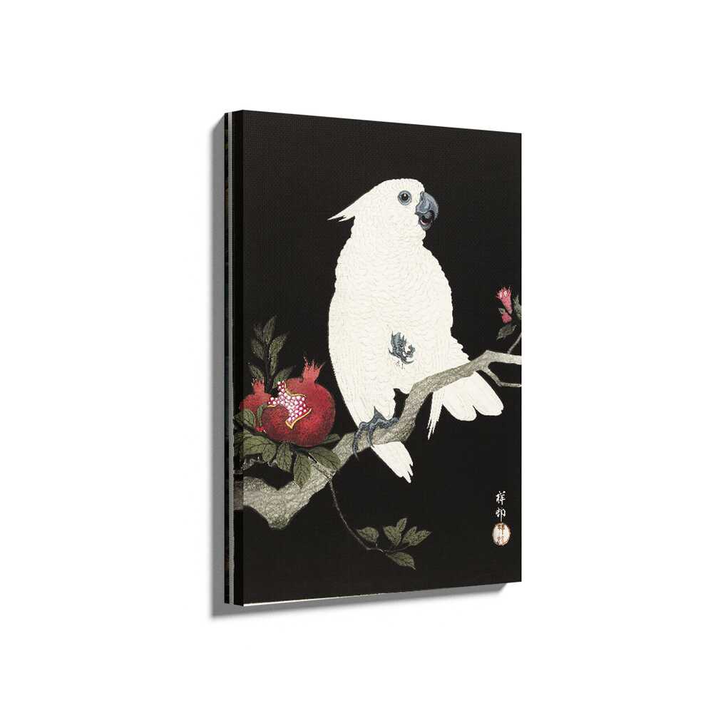 Picasoul - Picasoul Curated - White Parrot And Pomegranate - Wall Decor