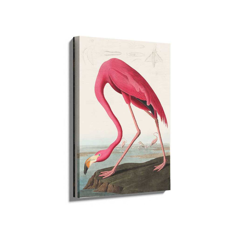 Picasoul - Picasoul Curated - American Flamingo - Wall Decor