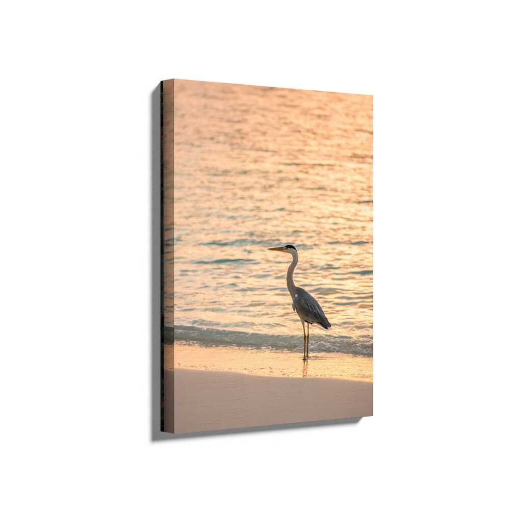 Picasoul - Picasoul Curated - Heron At Sunset - Wall Decor