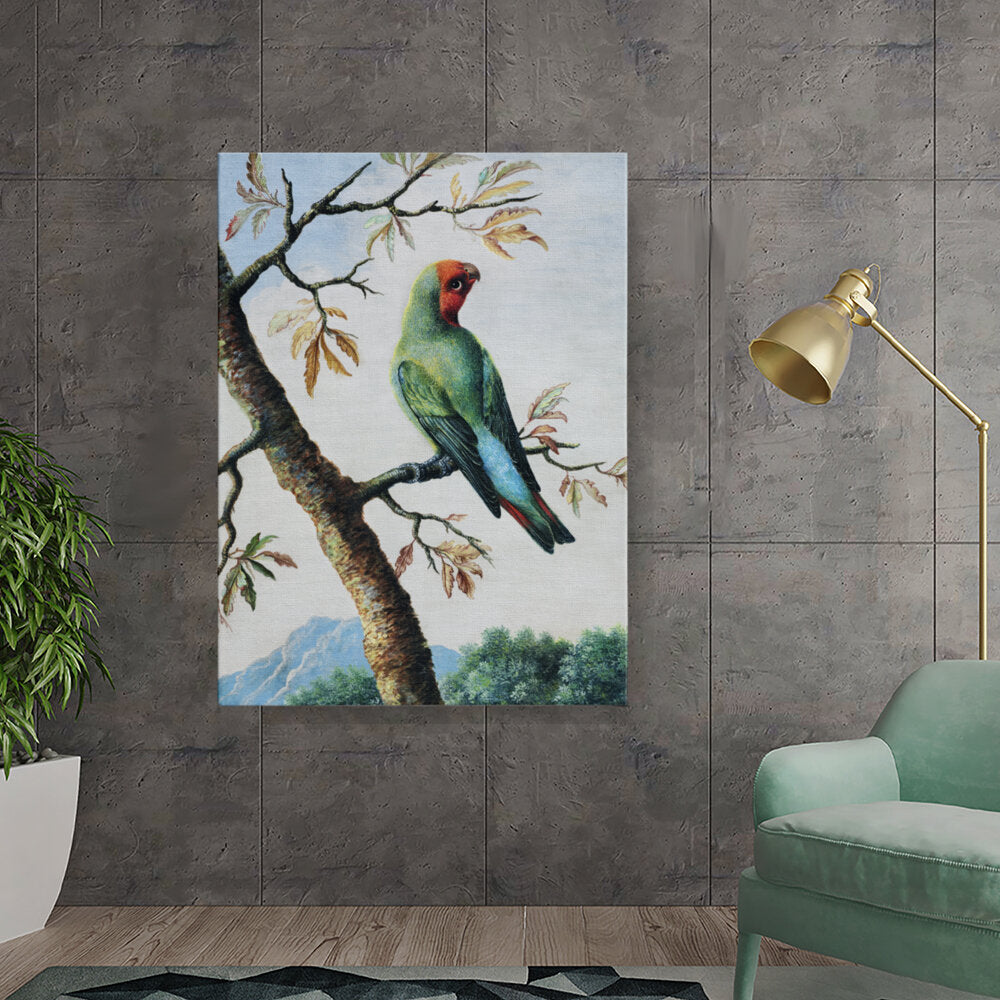 Colorful Parrot Perched On A Branch