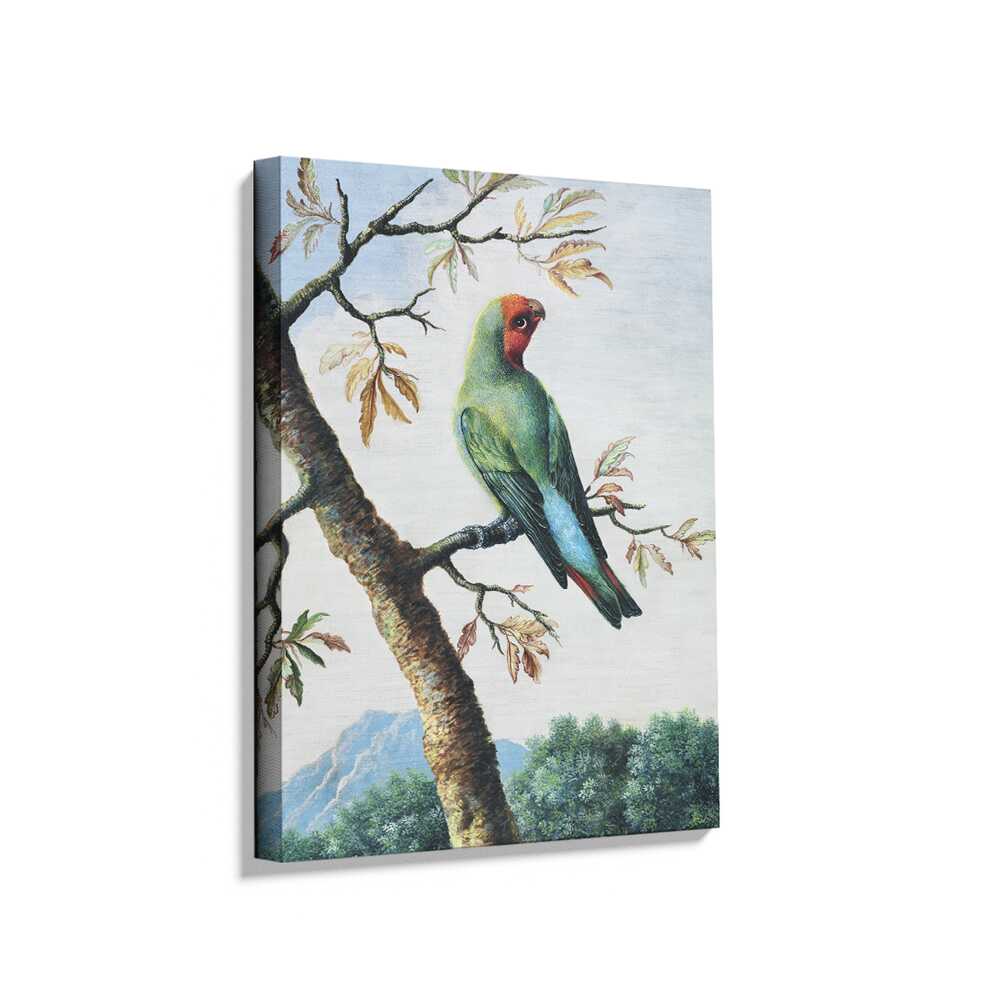 Picasoul - Picasoul Curated - Colorful Parrot Perched On A Branch - Wall Decor