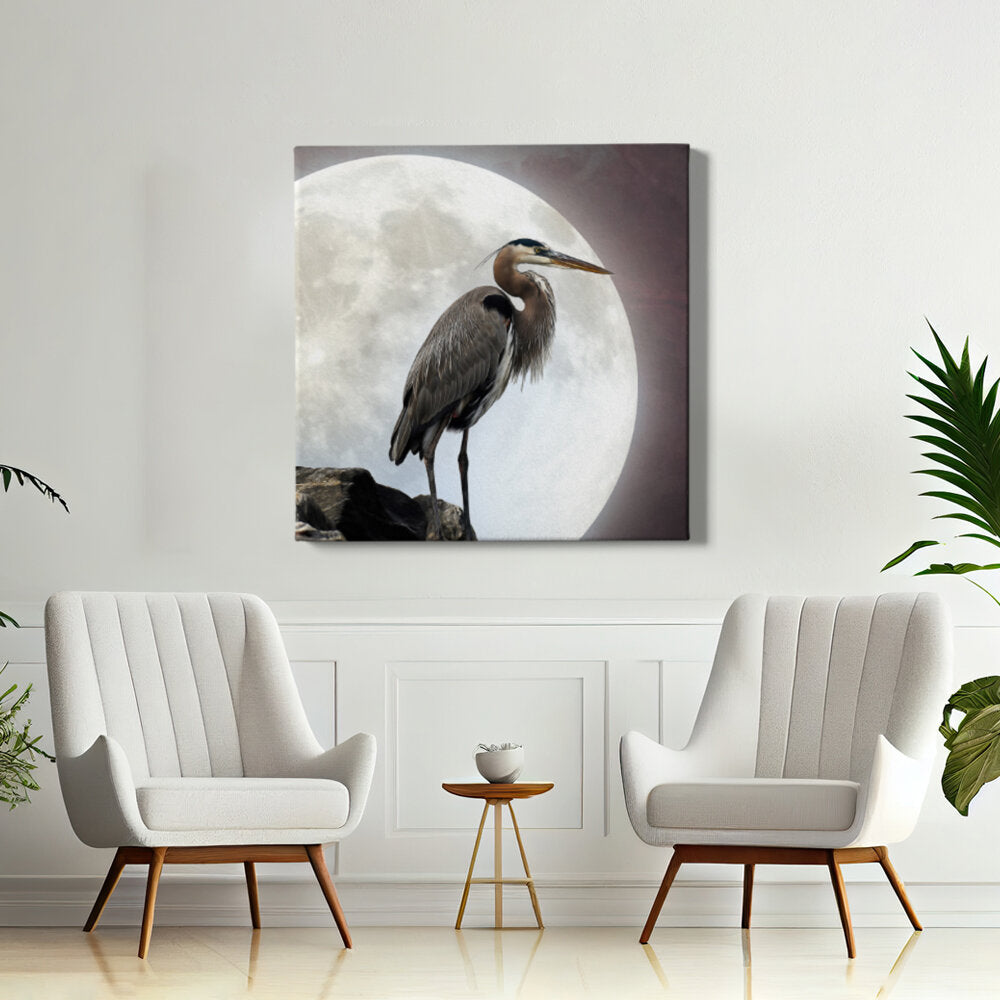 Heron Under The Moonlight
