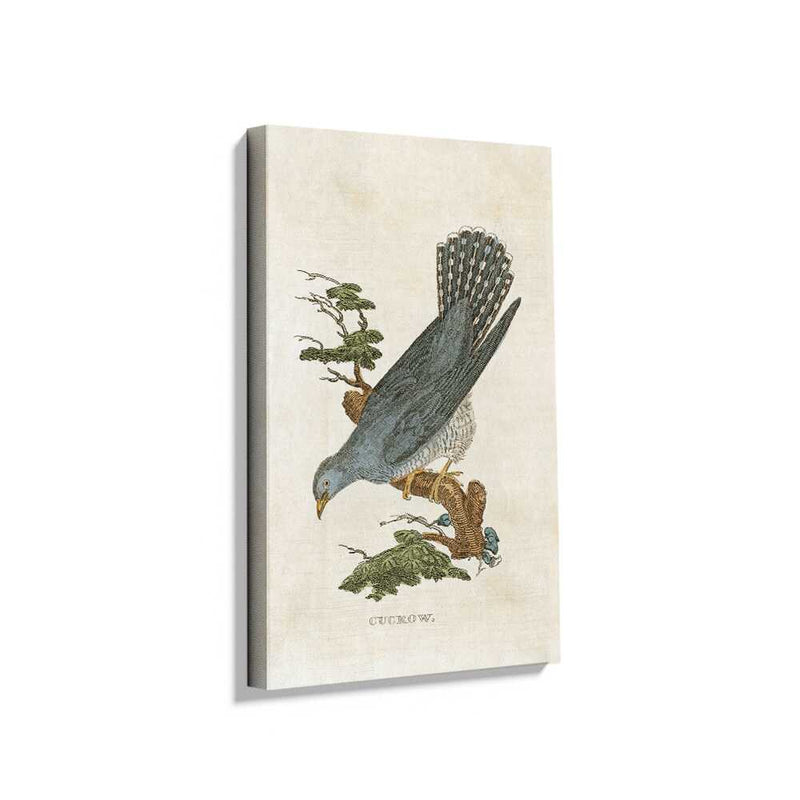 Picasoul - Picasoul Curated - Cuckoo - Wall Decor