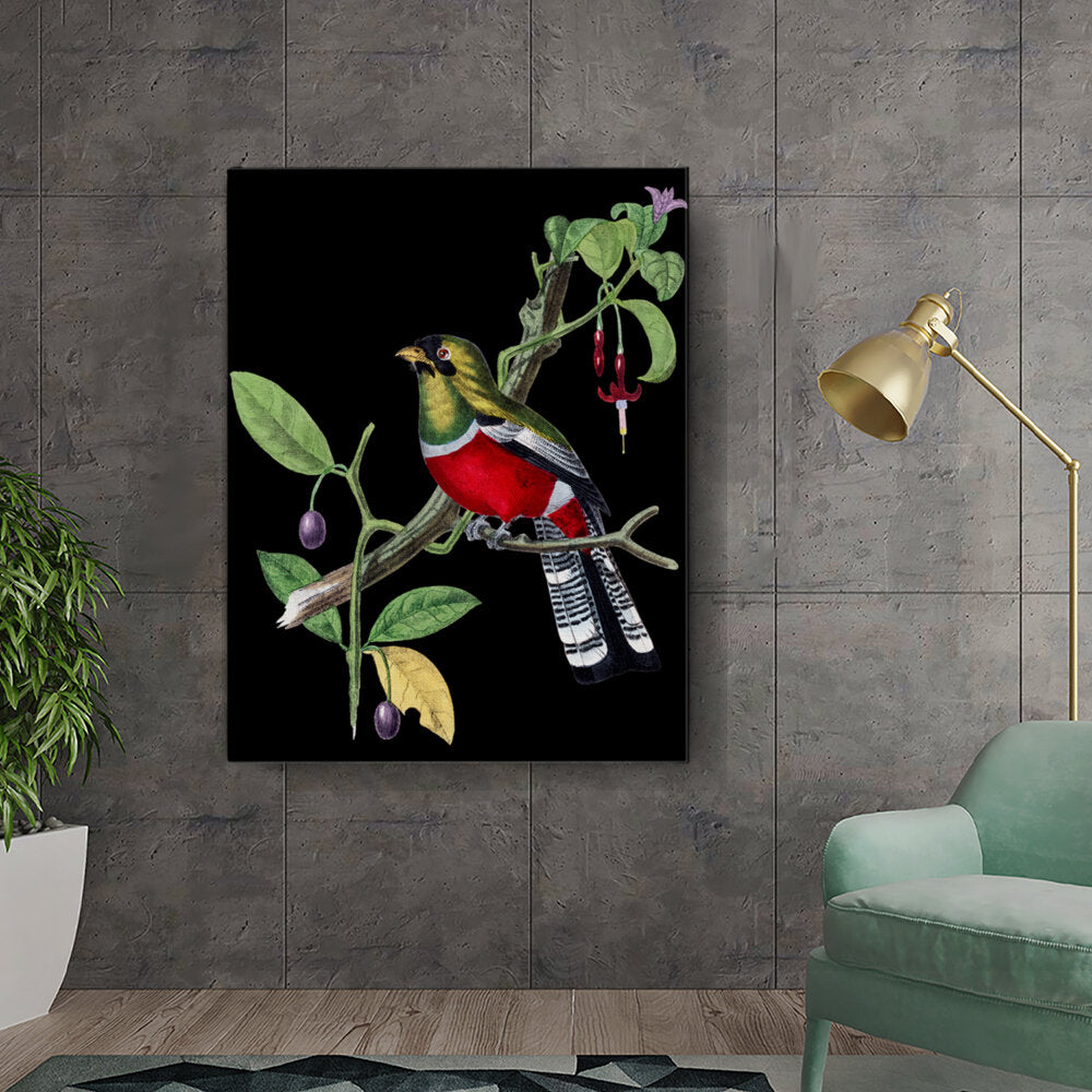 Colorful Bird On A Branch