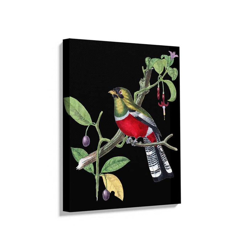 Picasoul - Picasoul Curated - Colorful Bird On A Branch - Wall Decor