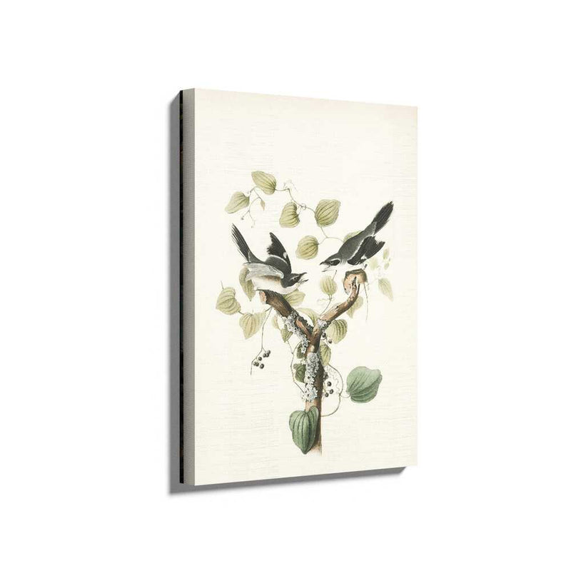 Picasoul - Picasoul Curated - Birds On A Branch - Wall Decor
