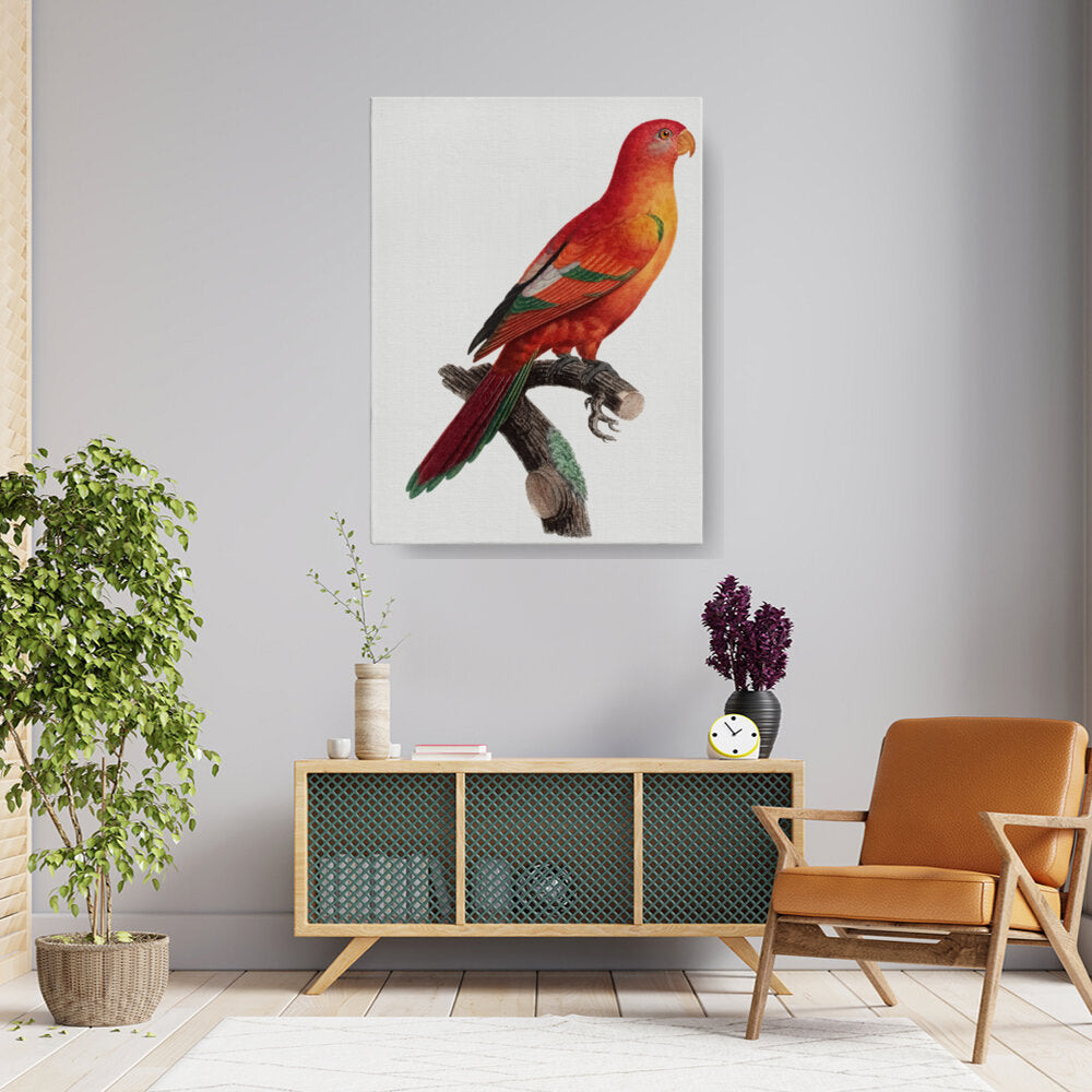 Colorful Parrot Portrait