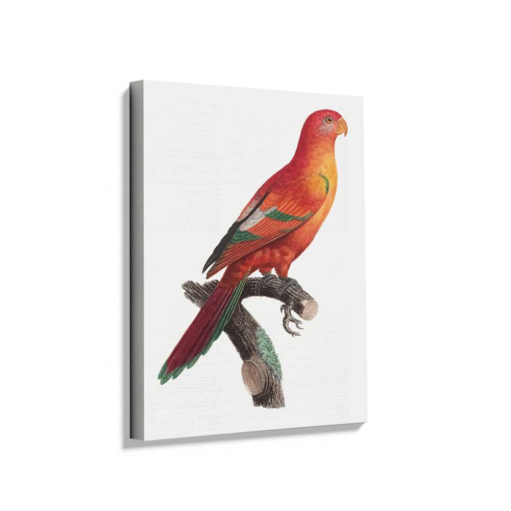 Picasoul - Picasoul Curated - Colorful Parrot Portrait - Wall Decor