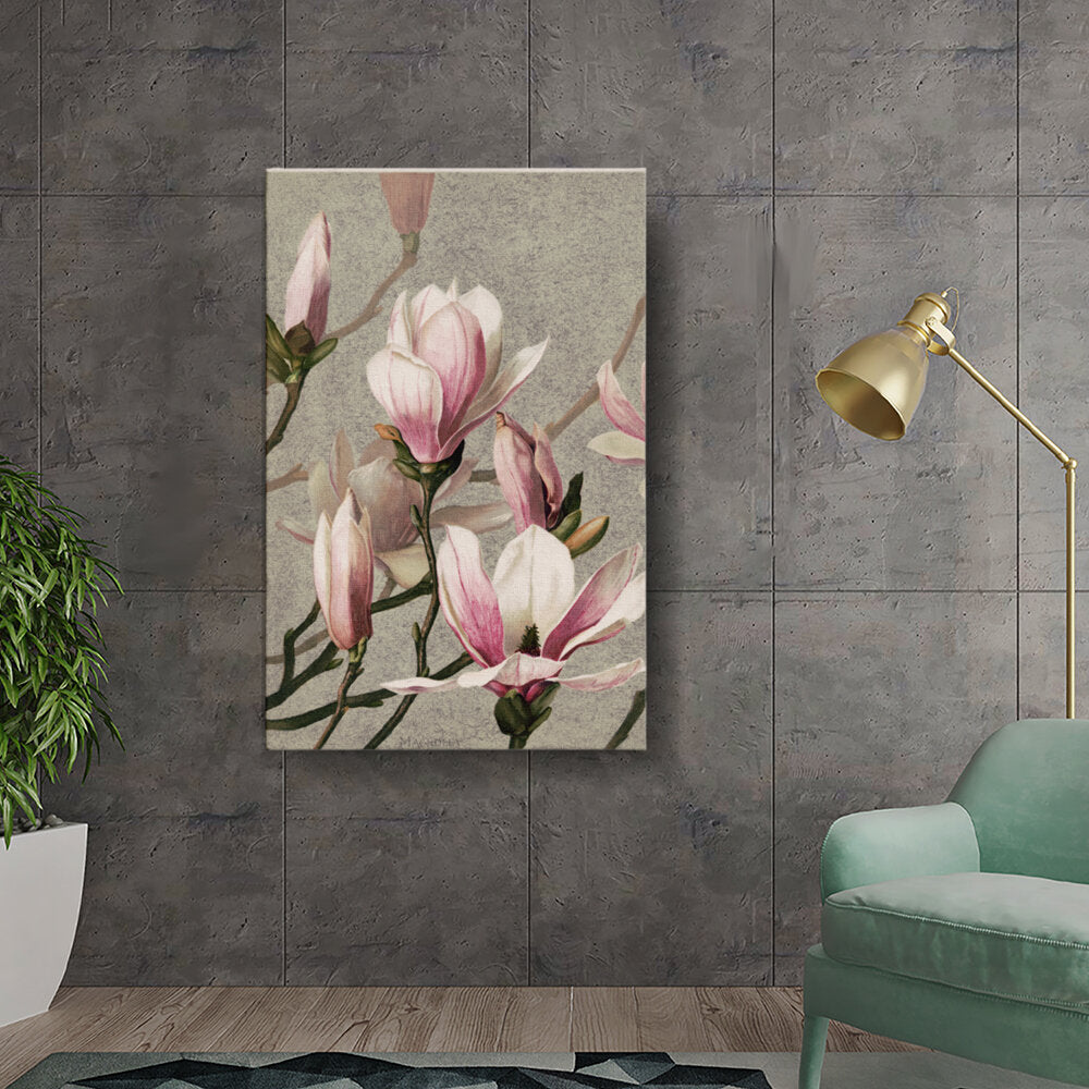 Magnolia Blossoms
