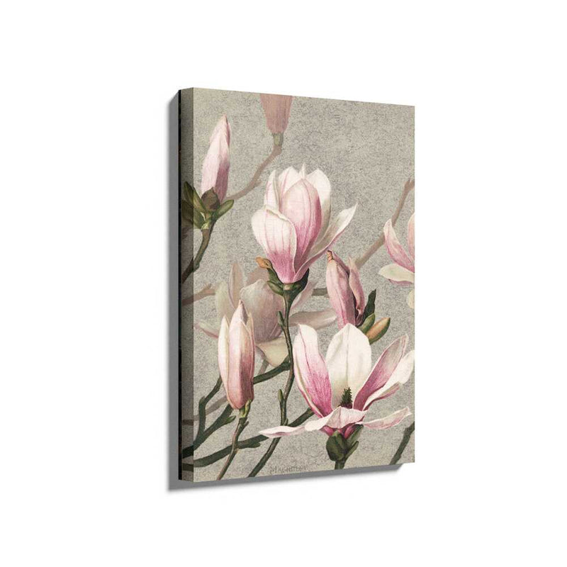 Picasoul - Picasoul Curated - Magnolia Blossoms - Wall Decor