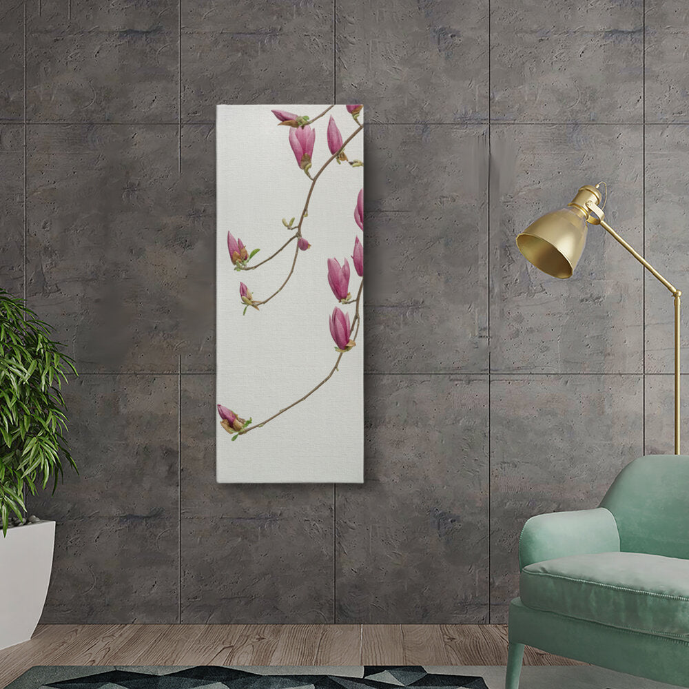 Blooming Magnolias