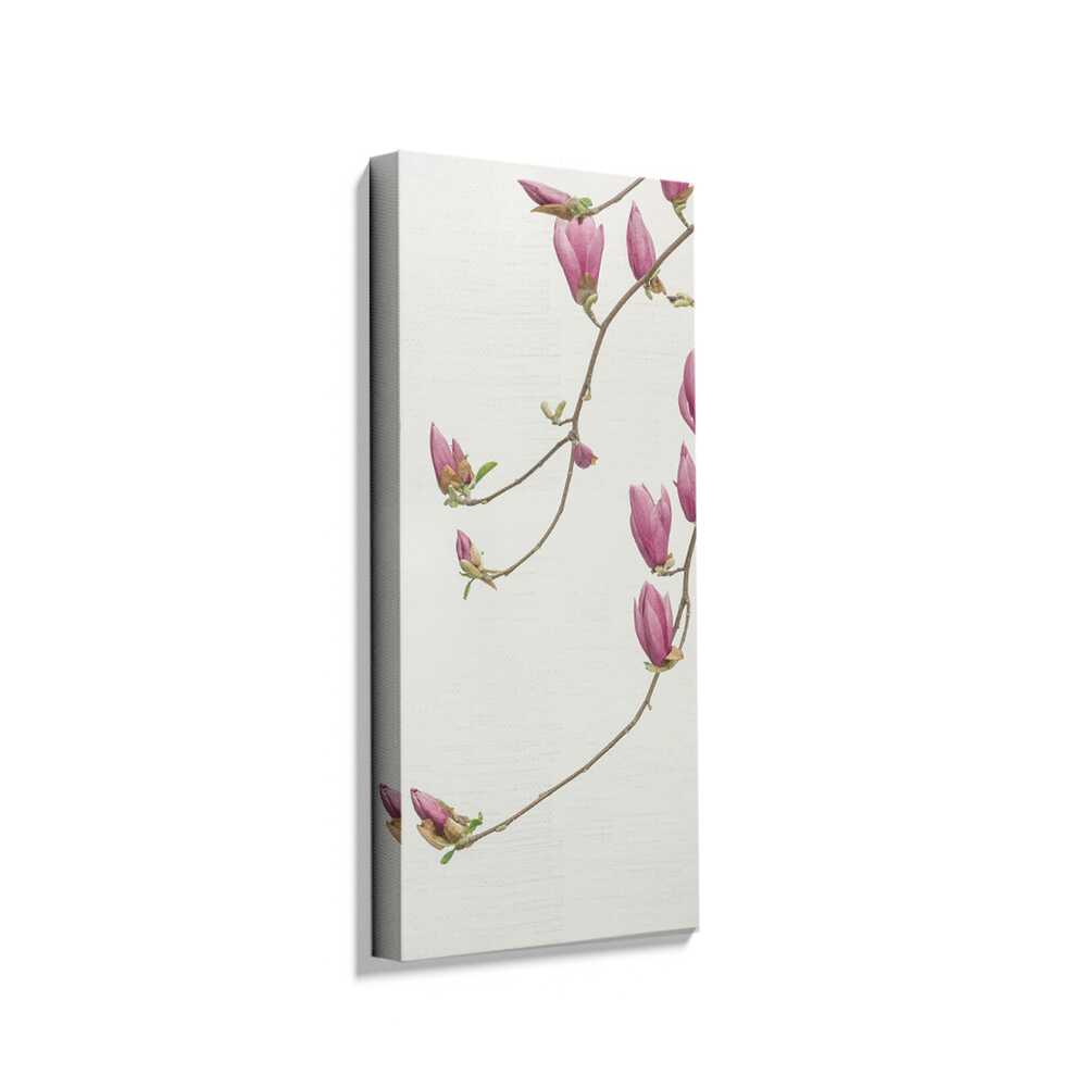 Picasoul - Picasoul Curated - Blooming Magnolias - Wall Decor