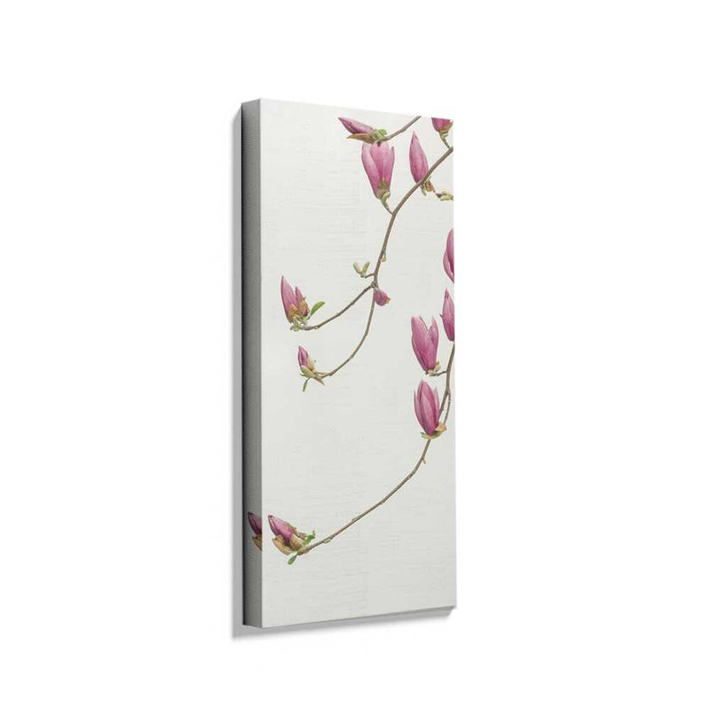 Picasoul - Picasoul Curated - Blooming Magnolias - Wall Decor