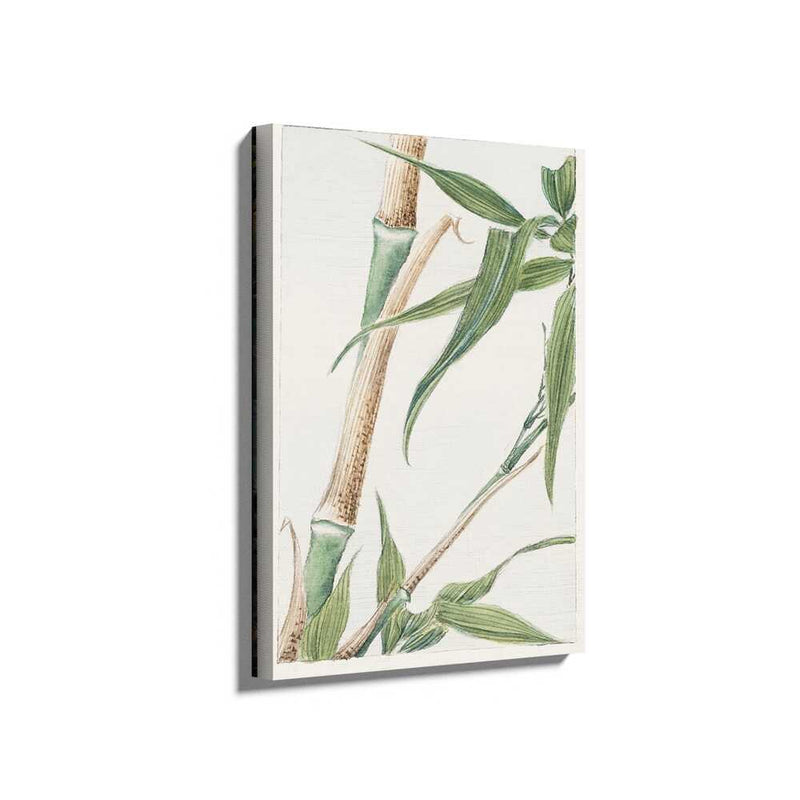 Picasoul - Picasoul Curated - Tranquil Bamboo - Wall Decor