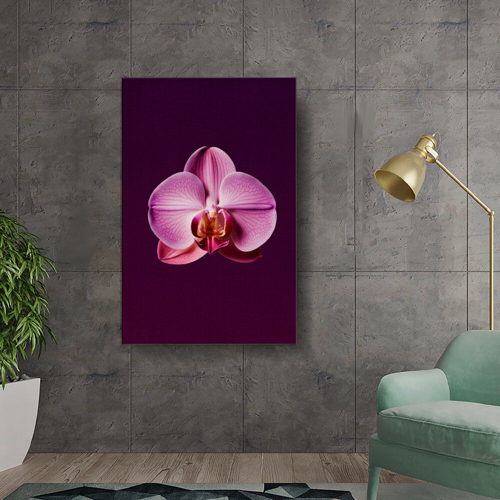 Orchid Elegance