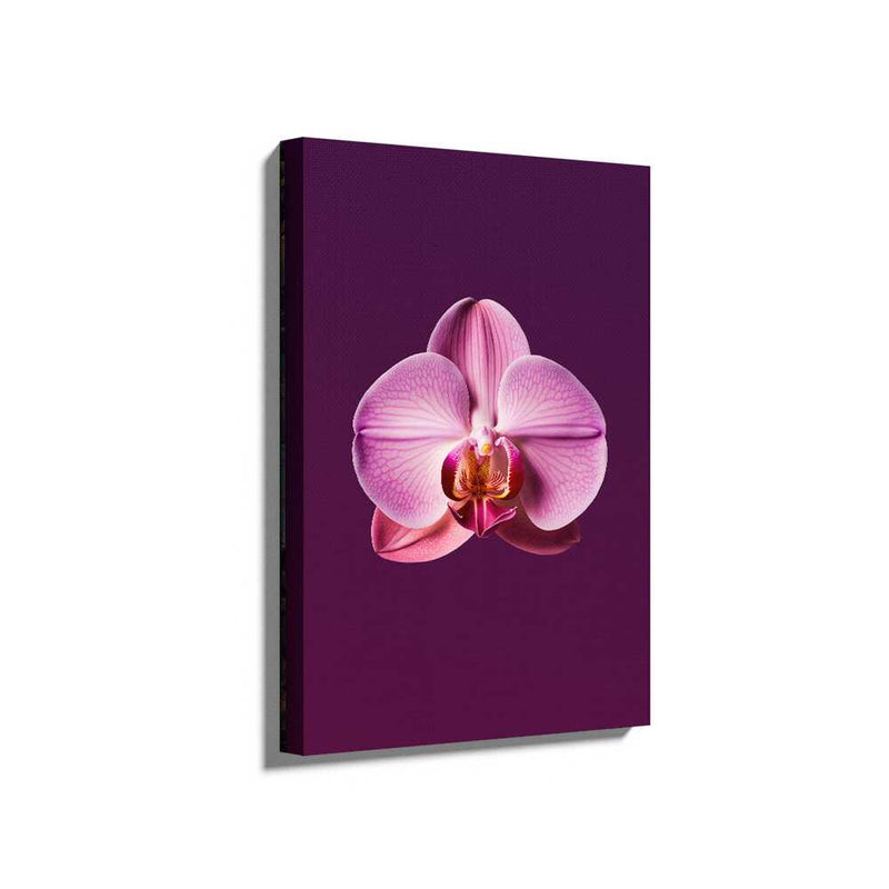 Picasoul - Picasoul Curated - Orchid Elegance - Wall Decor