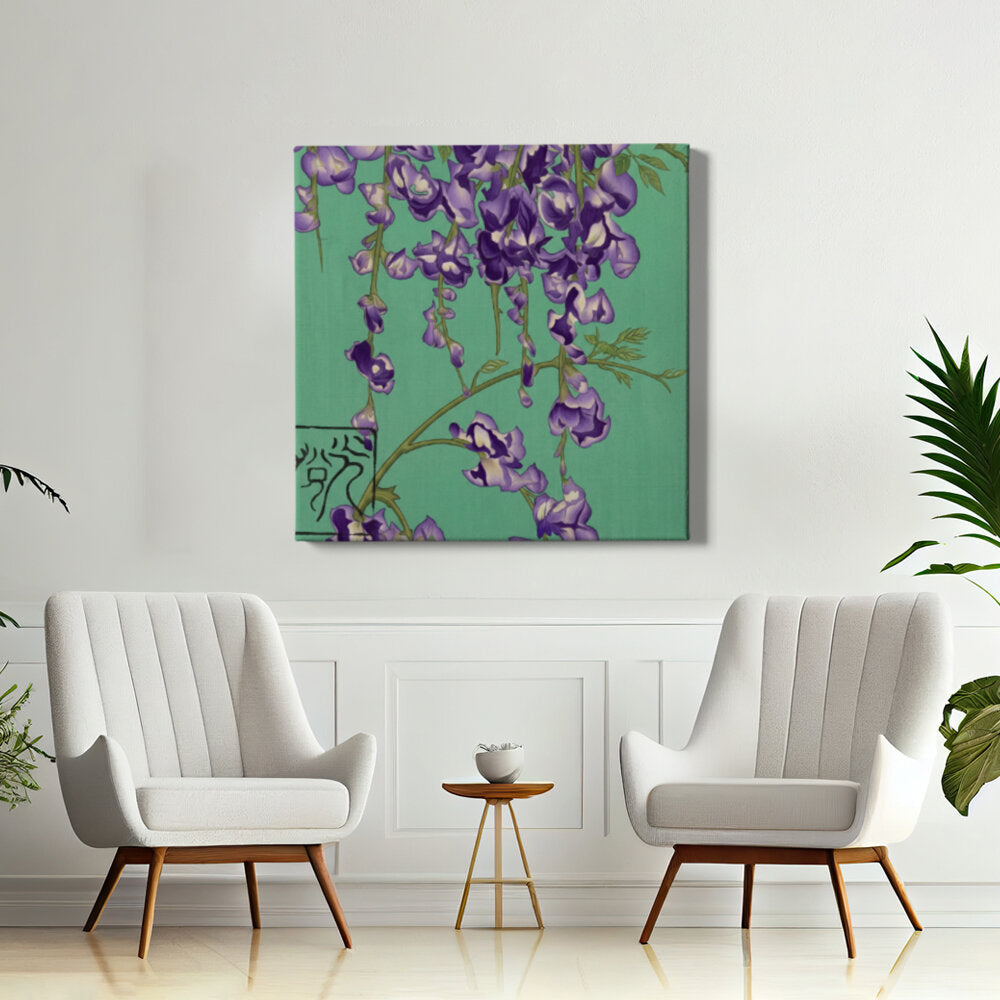 Wisteria Blooms