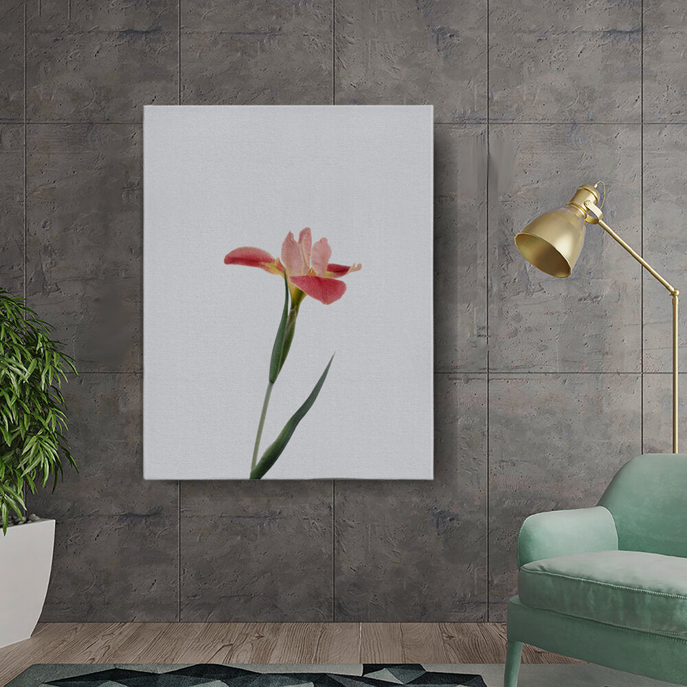 Elegant Flower