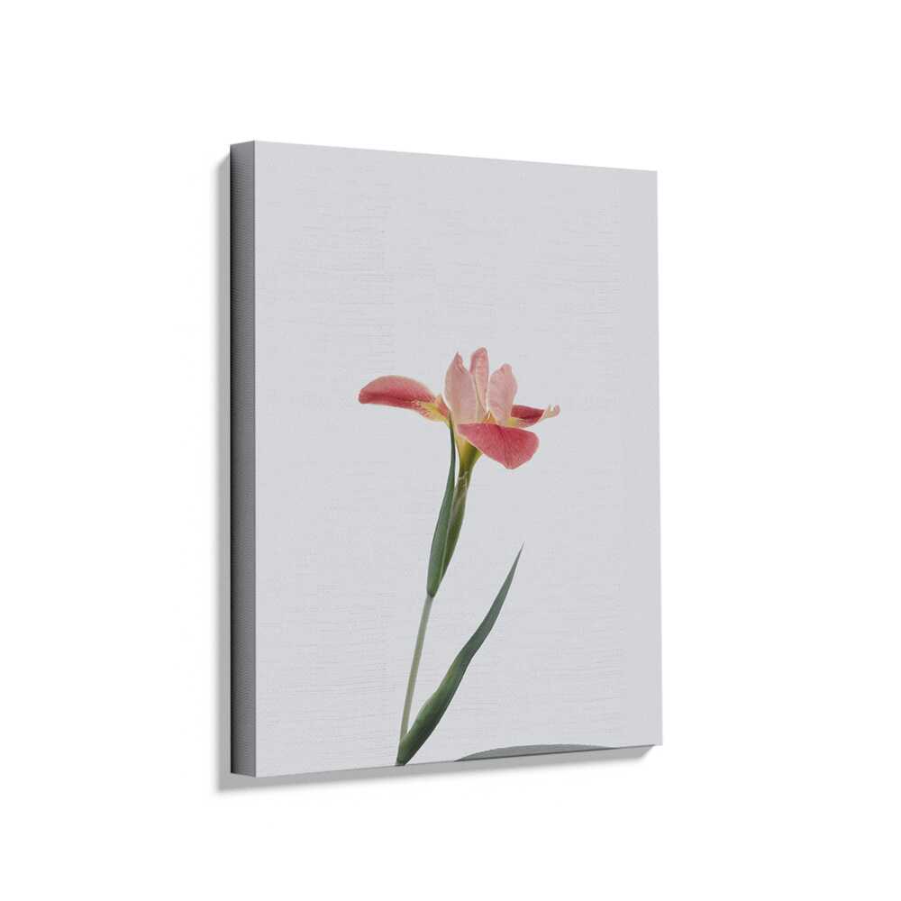 Picasoul - Picasoul Curated - Elegant Flower - Wall Decor