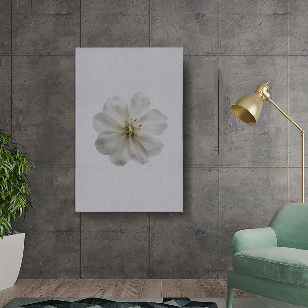 Delicate White Blossom