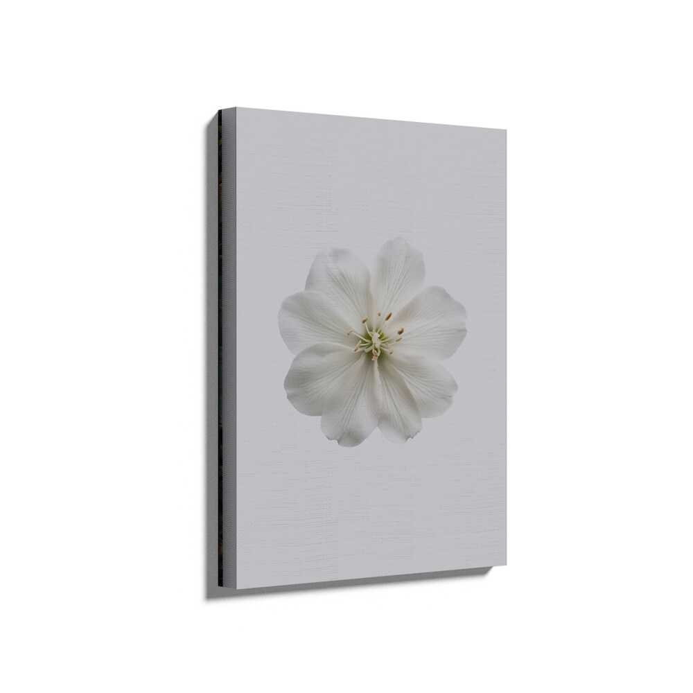 Picasoul - Picasoul Curated - Delicate White Blossom - Wall Decor