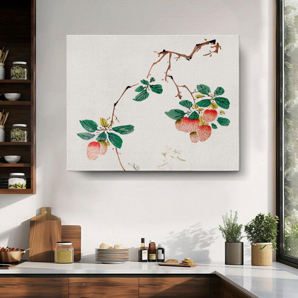 Branch Of Lychee