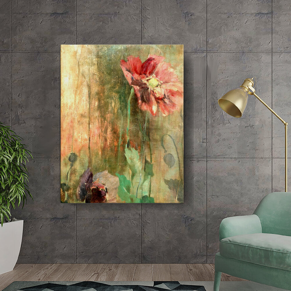 Blooming Poppy