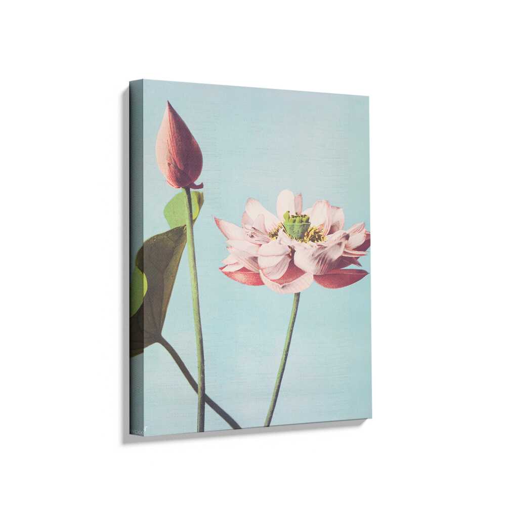 Picasoul - Picasoul Curated - Lotus Bloom - Wall Decor
