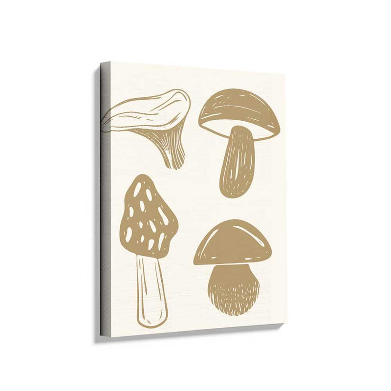Picasoul - Picasoul Curated - Mushroom Variety - Wall Decor