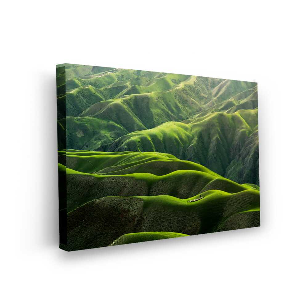 Picasoul - Picasoul Curated - Lush Green Landscape - Wall Decor