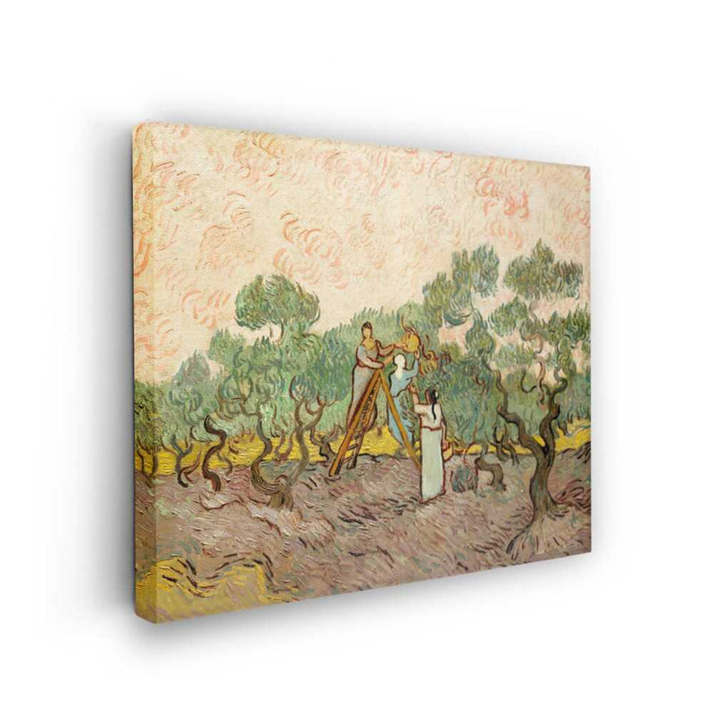 Picasoul - Picasoul Curated - Harvesting Olives 01 - Wall Decor