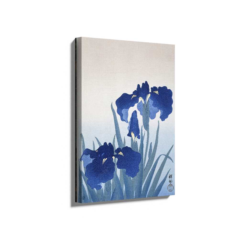 Picasoul - Picasoul Curated - Iris Flowers 01 - Wall Decor