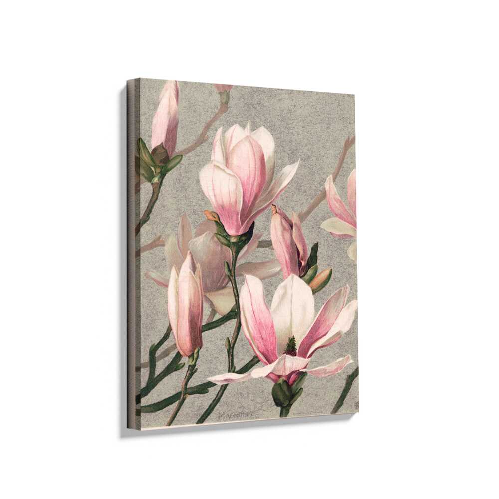 Picasoul - Picasoul Curated - Magnolia Blossoms 01 - Wall Decor